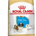 SHIH TZU PUPPY F 1