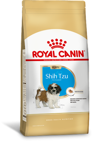 SHIH TZU PUPPY F 1