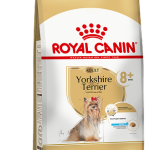 YORKSHIRE TERRIER 8 F 1