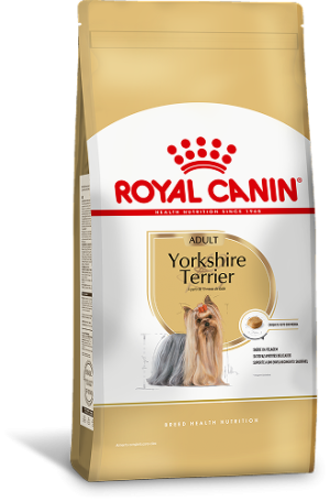 YORKSHIRE TERRIER F 1