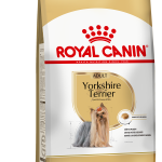 YORKSHIRE TERRIER F