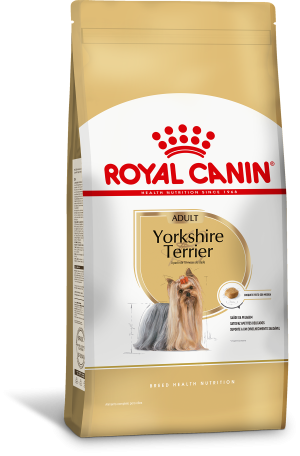 YORKSHIRE TERRIER F