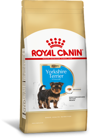 YORKSHIRE TERRIER PUPPY F 1