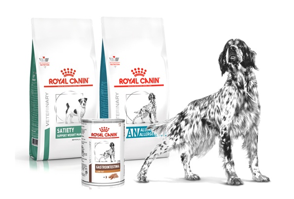 pacotes alimentos satiety small dog annalergenic e gastrointestinal low fat canine royal canin