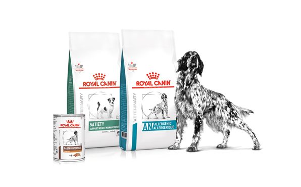 298x202 produtos vet cao