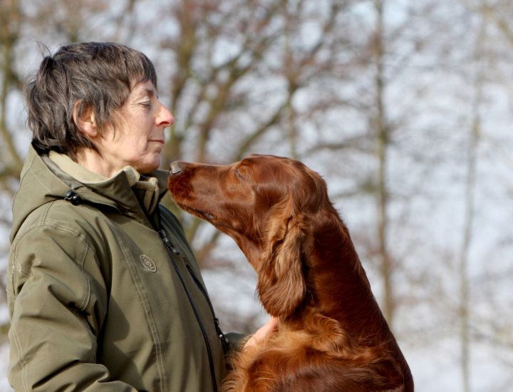 Colite canina: quais as principais causas e como diagnosticar?