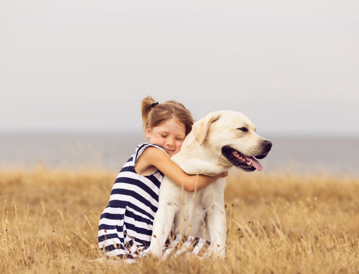 Constipação em cães e o papel da nutrição como importante coadjuvante