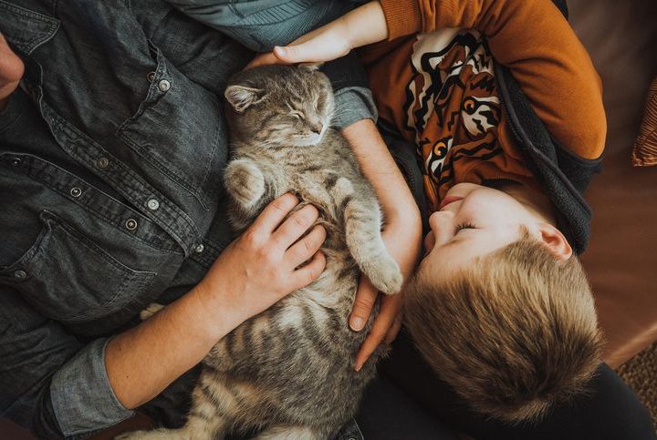 Ansiedade de separação em cães e gatos: saiba como evitar