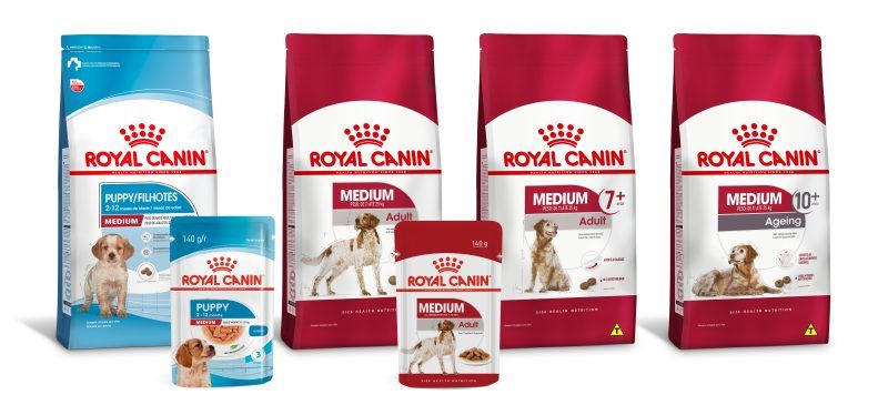 Alimentos para filhotes e adultos Pastor Belga Malinois