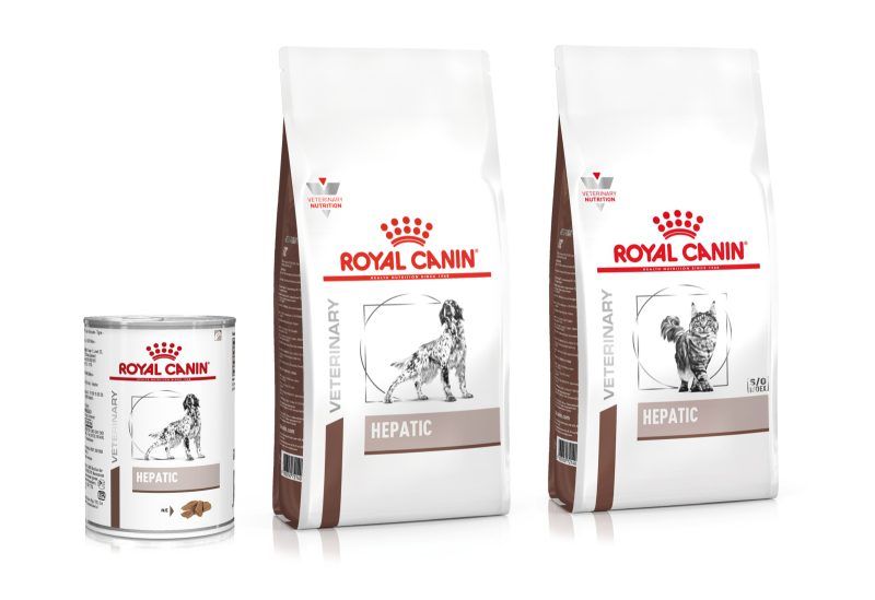 Linha de alimentos Royal Canin Hepatic