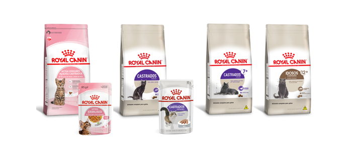 Alimentos indicados para o American Shorthair