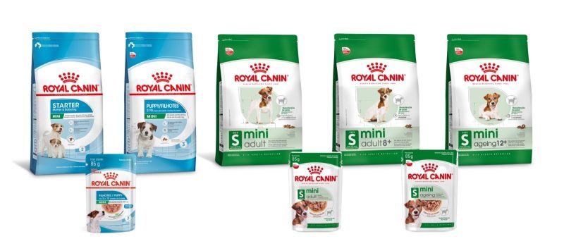 Alimentos das linhas mini e puppy podem trazer benefícios para os cães Bichon Frisé