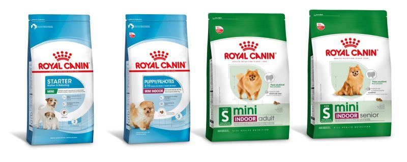 Alimentos das linhas mini e puppy para cães indoor também podem beneficiar os cães Bichon Frisé