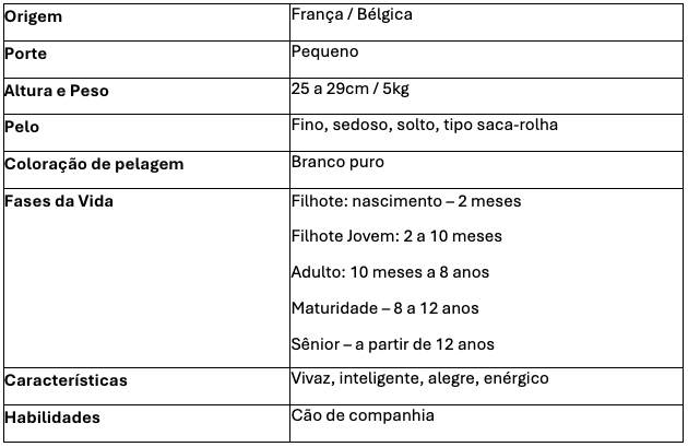 Tabela detalha as características do cão Bichon Frisé