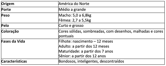 Tabela lista as principais caracter&iacute;sticas do gato American Shorthair