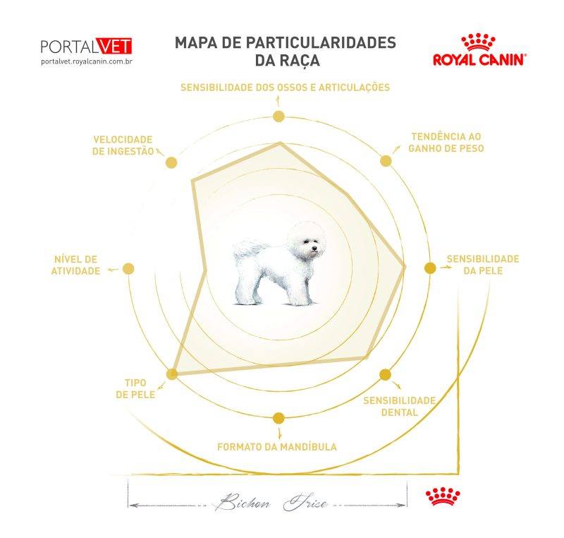Mapa de particularidades do c&atilde;o Bichon Fris&eacute;
