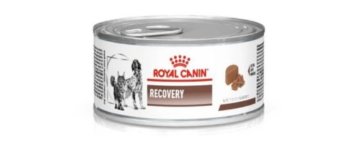Embalagem do alimento Recovery da Royal Canin. Ele pode ser usado em casos de PIF