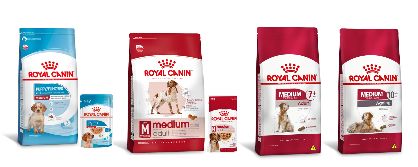 Alimentos que podem ser indicados para os c&atilde;es da ra&ccedil;a Pastor Australiano
