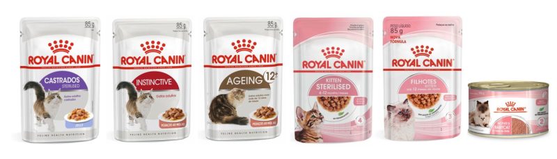 Alimentos &uacute;midos podem ser indicados para gatos com calicivirose