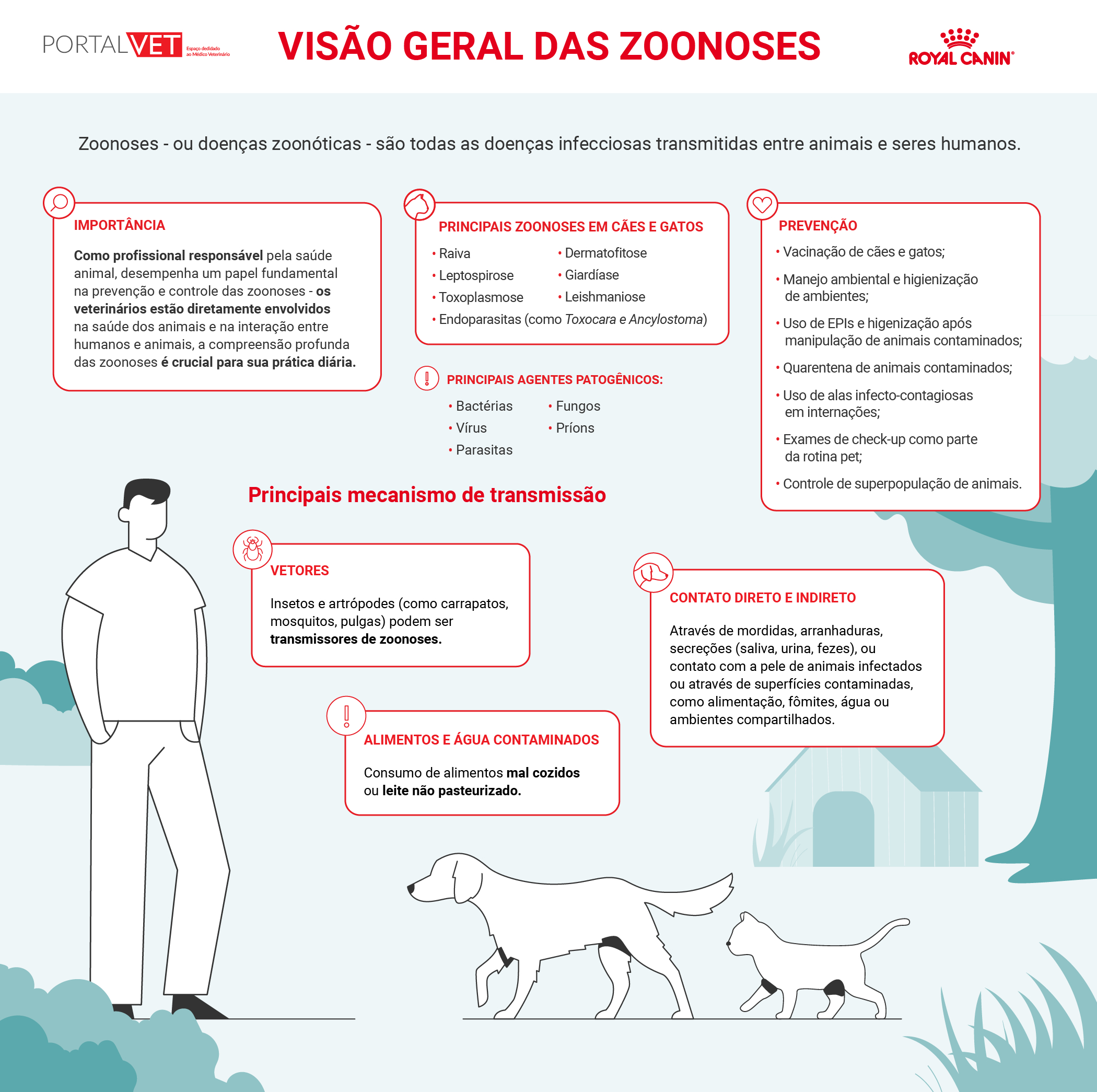 Infogr&aacute;fico traz detalhes da dermatofitose e outras importantes zoonoses