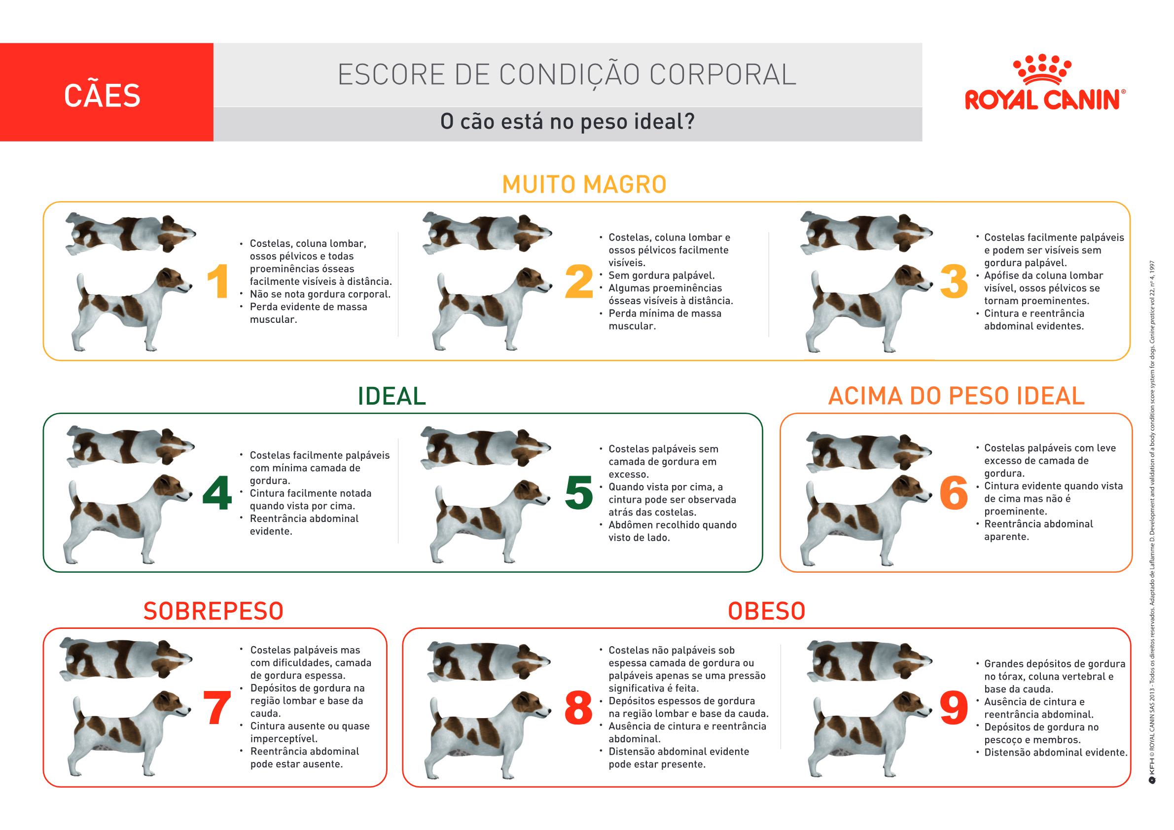 Tabela de Escore de Condição Corporal (ECC) em cães