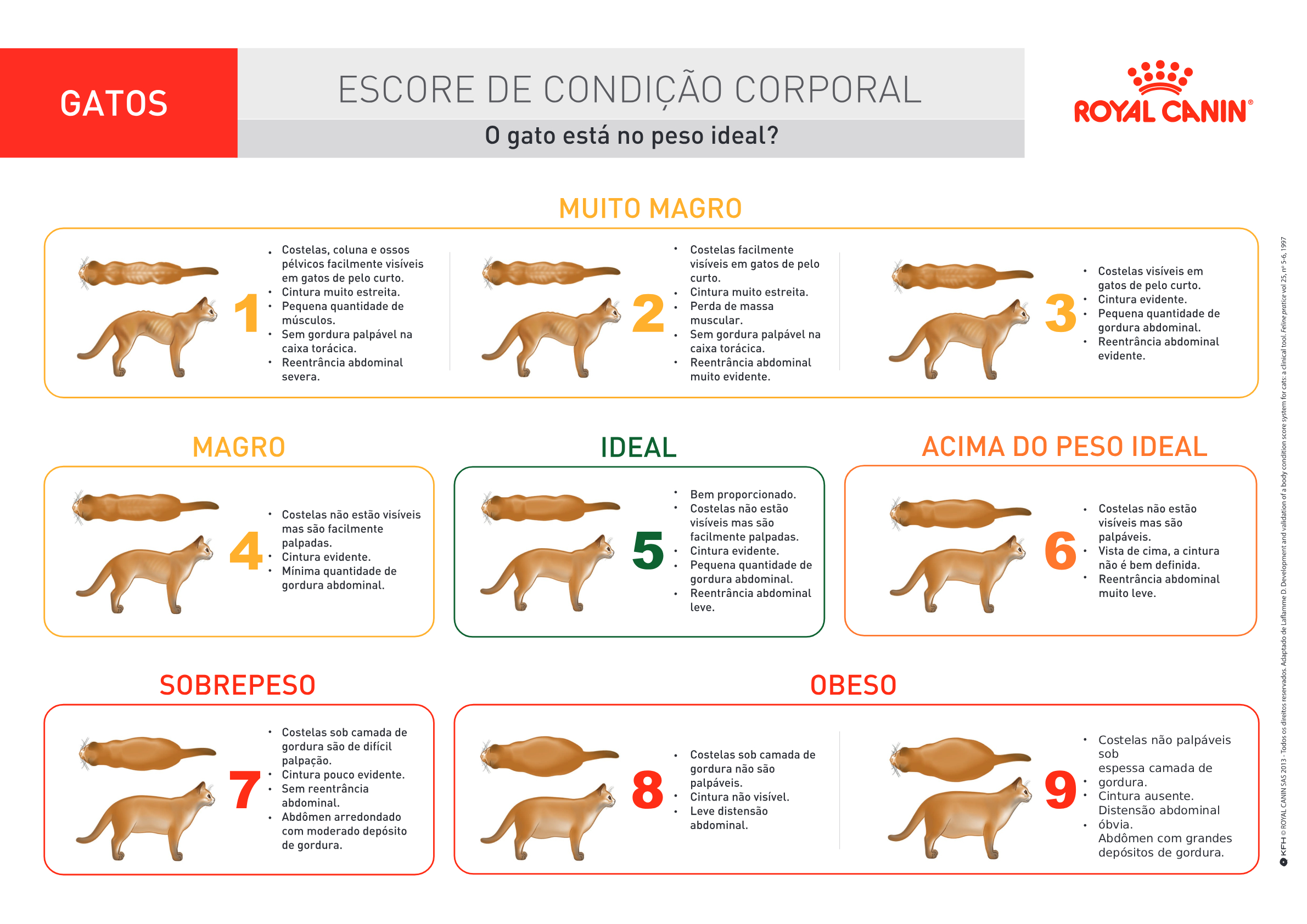 Tabela de Escore de Condição Corporal (ECC) em gatos