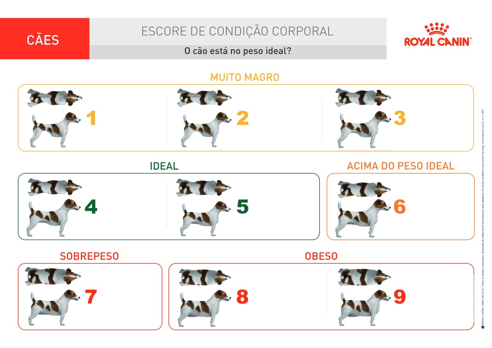 Tabela de Escore de Condi&ccedil;&atilde;o Corporal usada para tutores avaliarem seus c&atilde;es