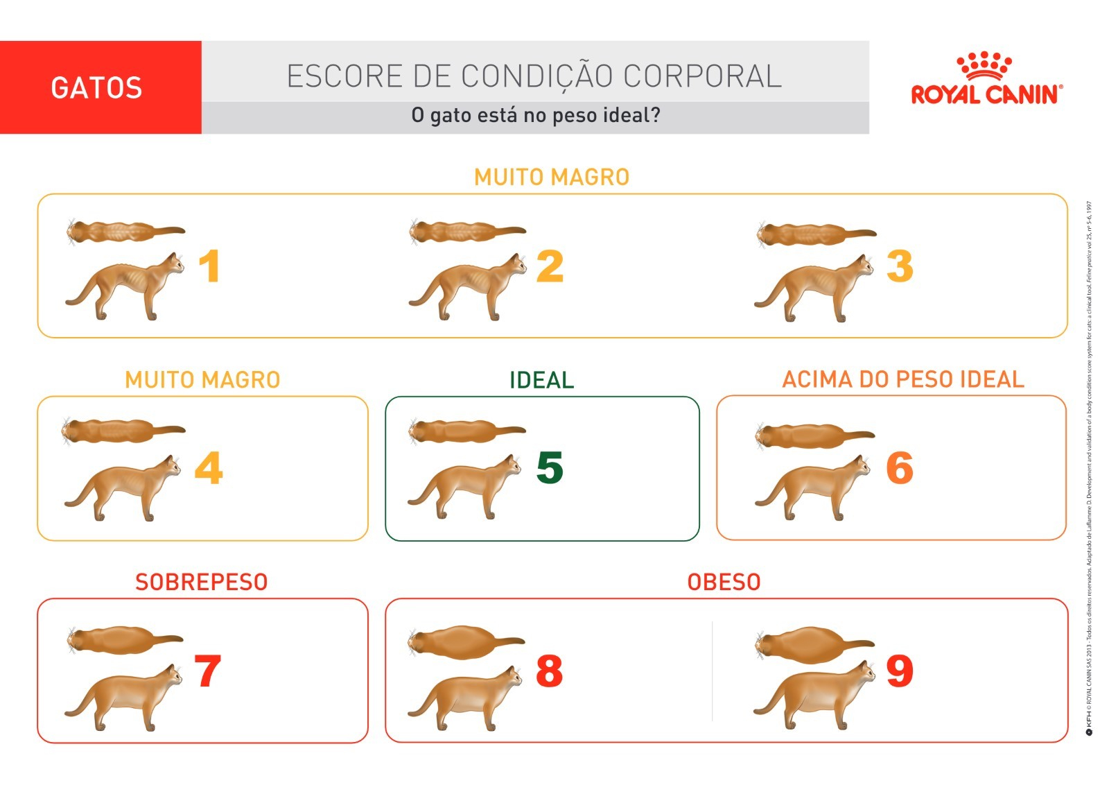 Tabela de Escore de Condi&ccedil;&atilde;o Corporal usada para tutores avaliarem seus gatos