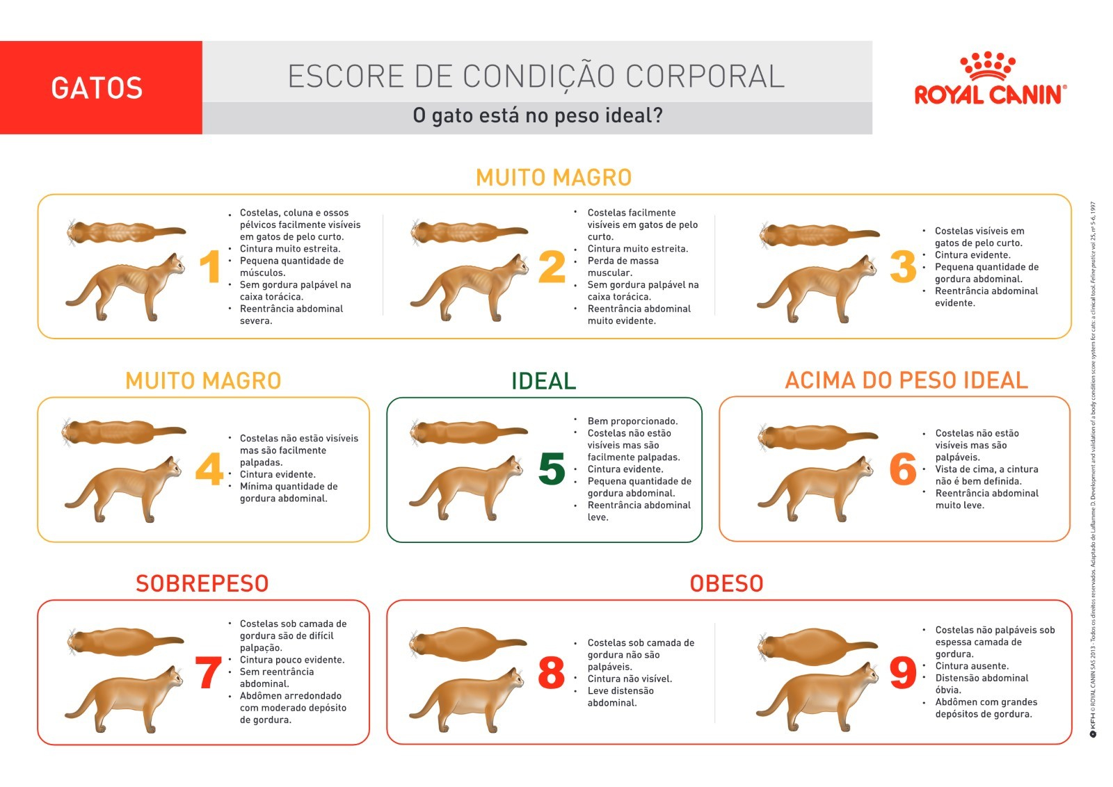 Tabela de Escore de Condição Corporal usada para gatos