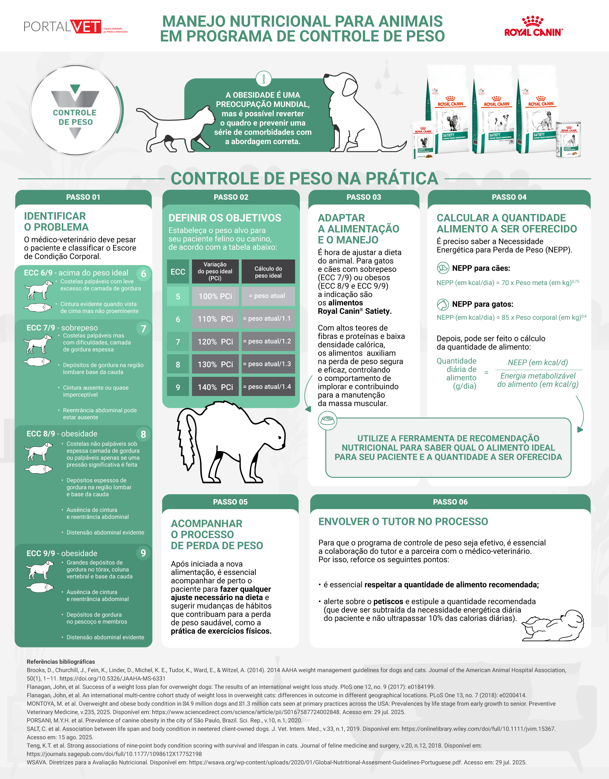 Infográfica mostra como deve ser o manejo nutricional de um animal em programa de controle de peso