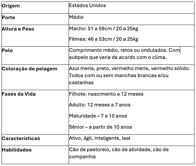 Principais caracter&iacute;sticas do c&atilde;o da ra&ccedil;a Pastor Australiano
