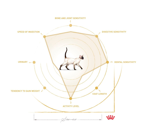Mapa de particularidades do gato Siam&ecirc;s