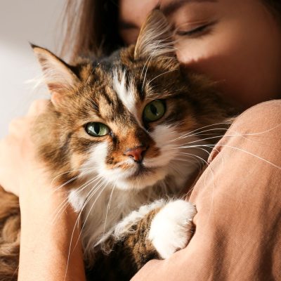Portrait of a young woman holding a Siberian cat with green eyes 16 9 Med. Res.   Basic