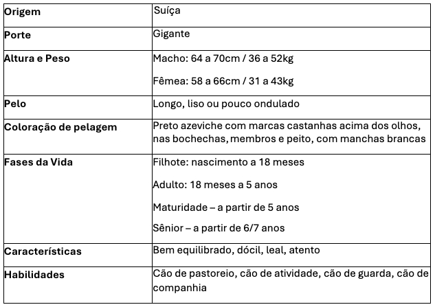 Principais caracter&iacute;sticas do Bernese Mountain Dog