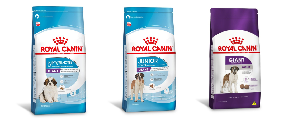 C&atilde;es Bernese podem consumir alimentos da linha Giant da Royal Canin