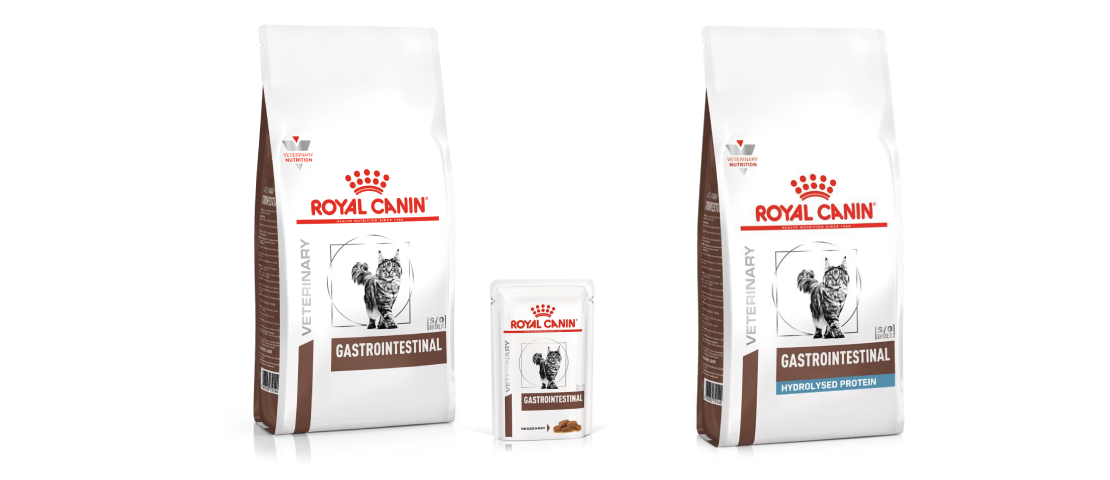 Alimentos da linha gastrointestinal podem ser indicados em casos de diarreia em gatos