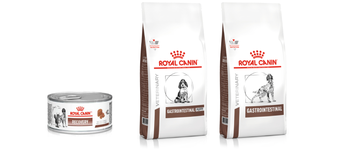 Alimentos da linha gastrointestinal que podem ser indicados em casos de hepatite infecciosa canina