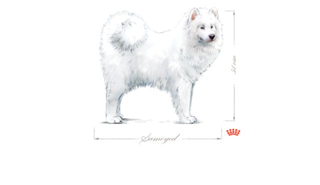 Alt image