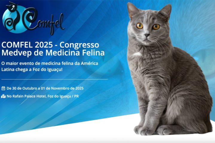 COMFEL 2025: saiba tudo sobre o congresso de medicina felina do Medvep