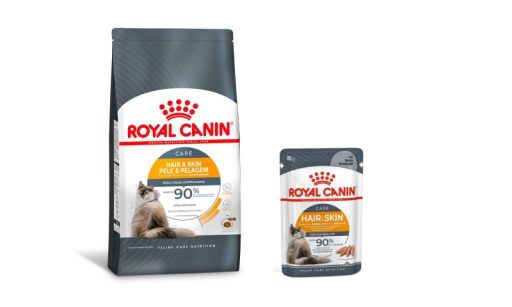 Royal Canin&reg; Pele e Pelagem oferece suporte a gatos com alguma sensibilidade cut&acirc;nea