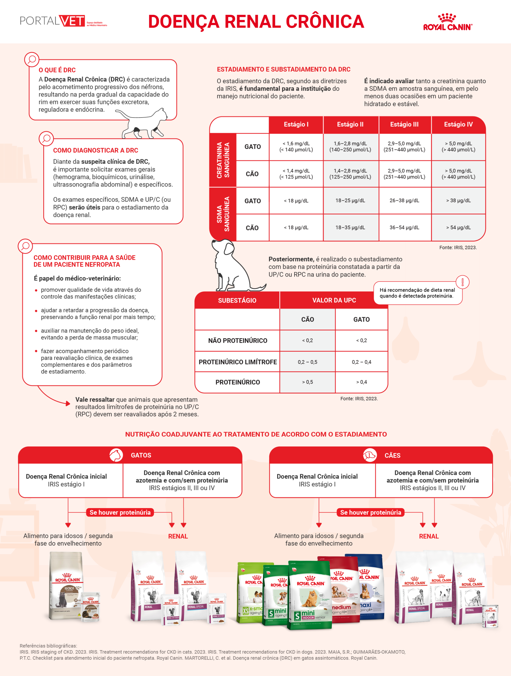 Infogr&aacute;fico detalha o manejo alimentar em casos de DRC em gatos e em c&atilde;es