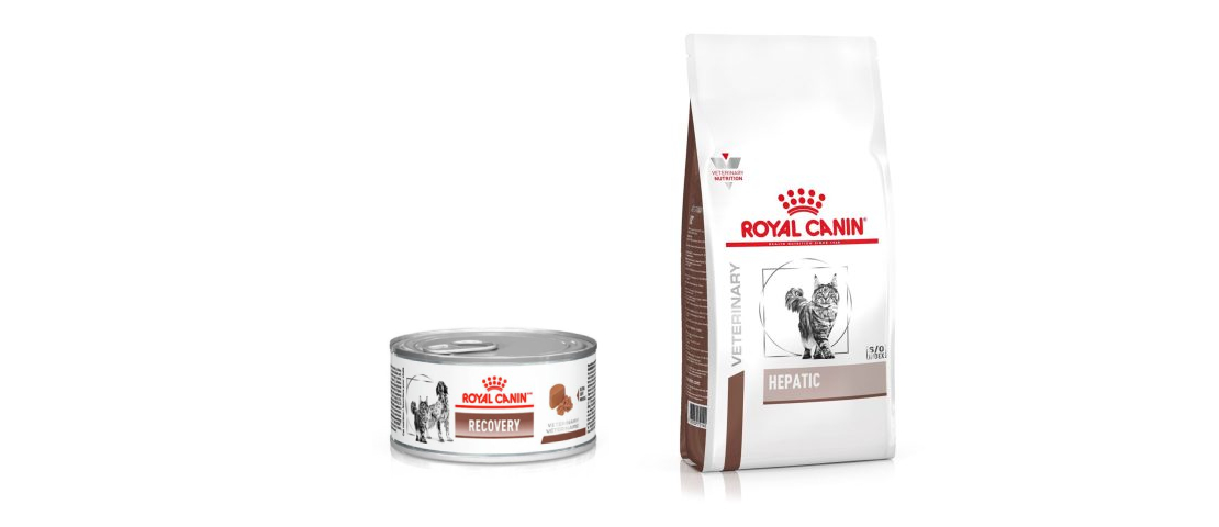 Alimentos Royal Canin que podem ser indicados para gatos com platinosomose, dependendo do caso