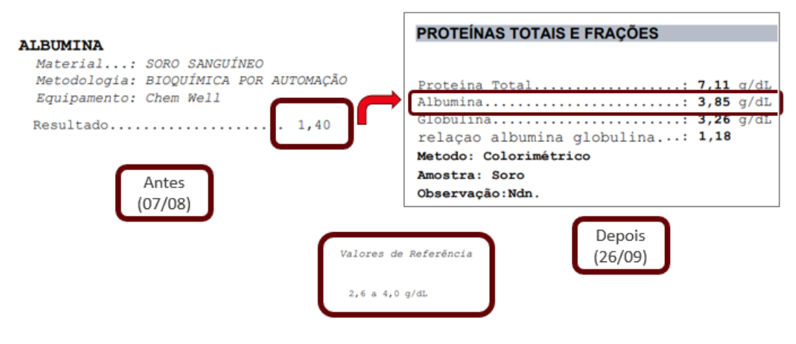 Exames para acompanhar a evolu&ccedil;&atilde;o do paciente Lui