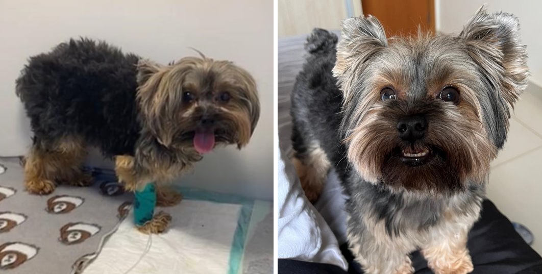 Antes e depois do tratamento do paciente Lui