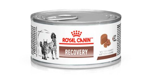 Alimento Recovery &eacute; uma alternativa em casos de prolapso retal nos quais o paciente esteja extremamente debilitado