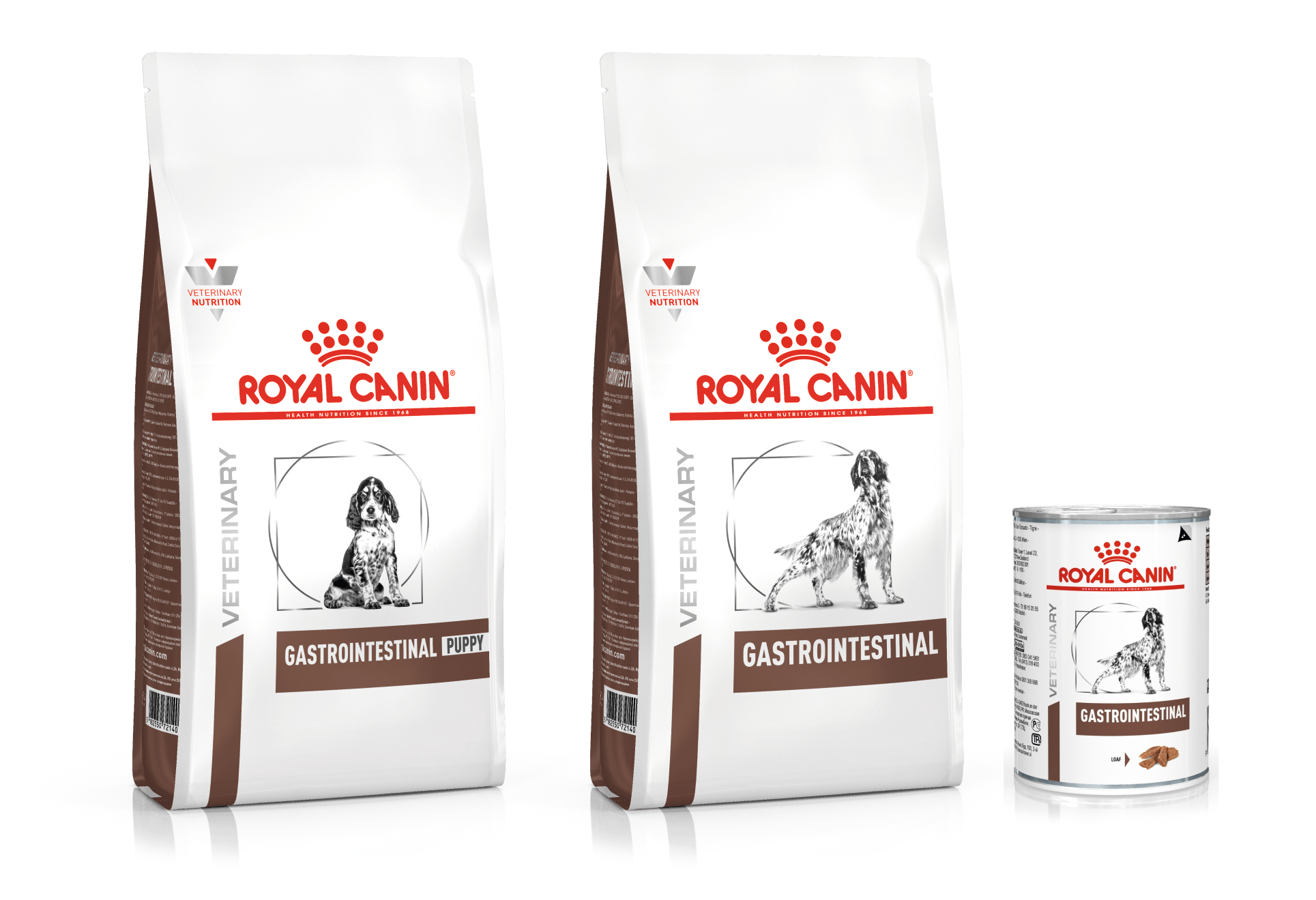 Alimentos da linha Gastrointestinal da Royal Canin podem ser indicados para casos de gastroenterite