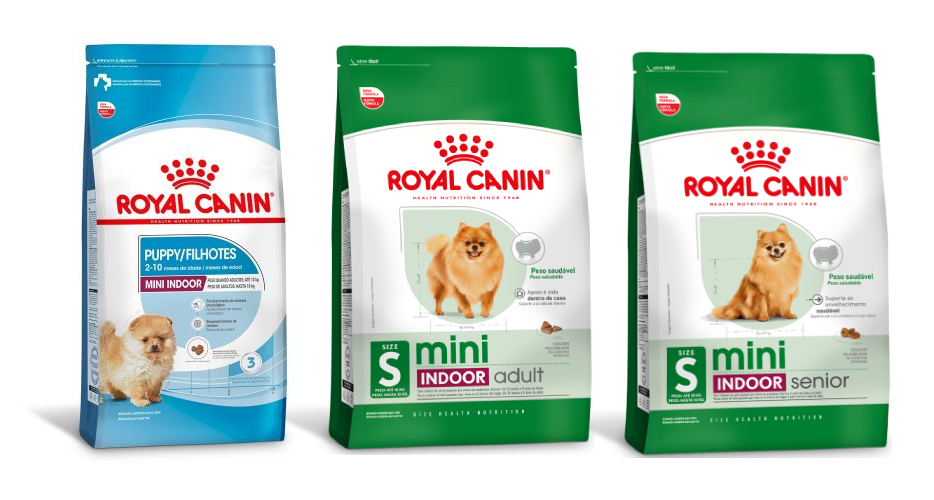 C&atilde;o Pequin&ecirc;s tamb&eacute;m pode se alimentar com a linha Mini Indoor da Royal Canin