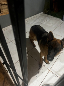 Loki perdeu peso durante o per&iacute;odo da investiga&ccedil;&atilde;o do caso