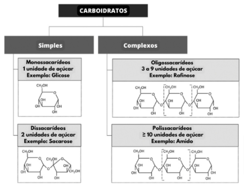 Diagrama mostra a classificação dos carboidratos e seus exemplos