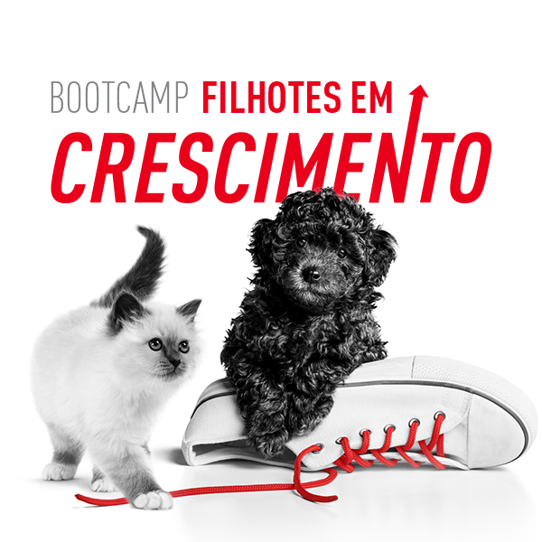 Ajuda veterinaria